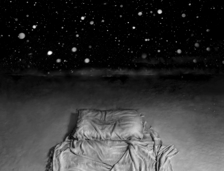 v4.5 / Tracy Templeton: A Mind of Winter