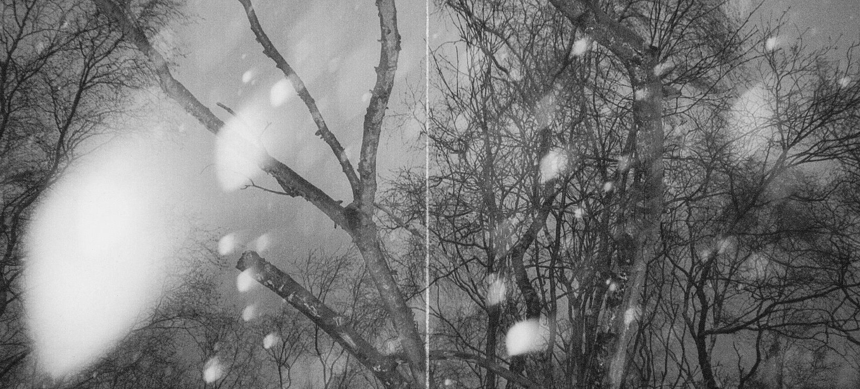 v7.1 / A Crack in the Book of Nature: Al Brydon