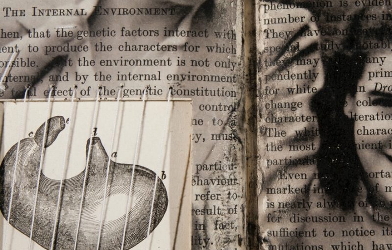 Inside Out: On the Photography of Elizabeth Claffey