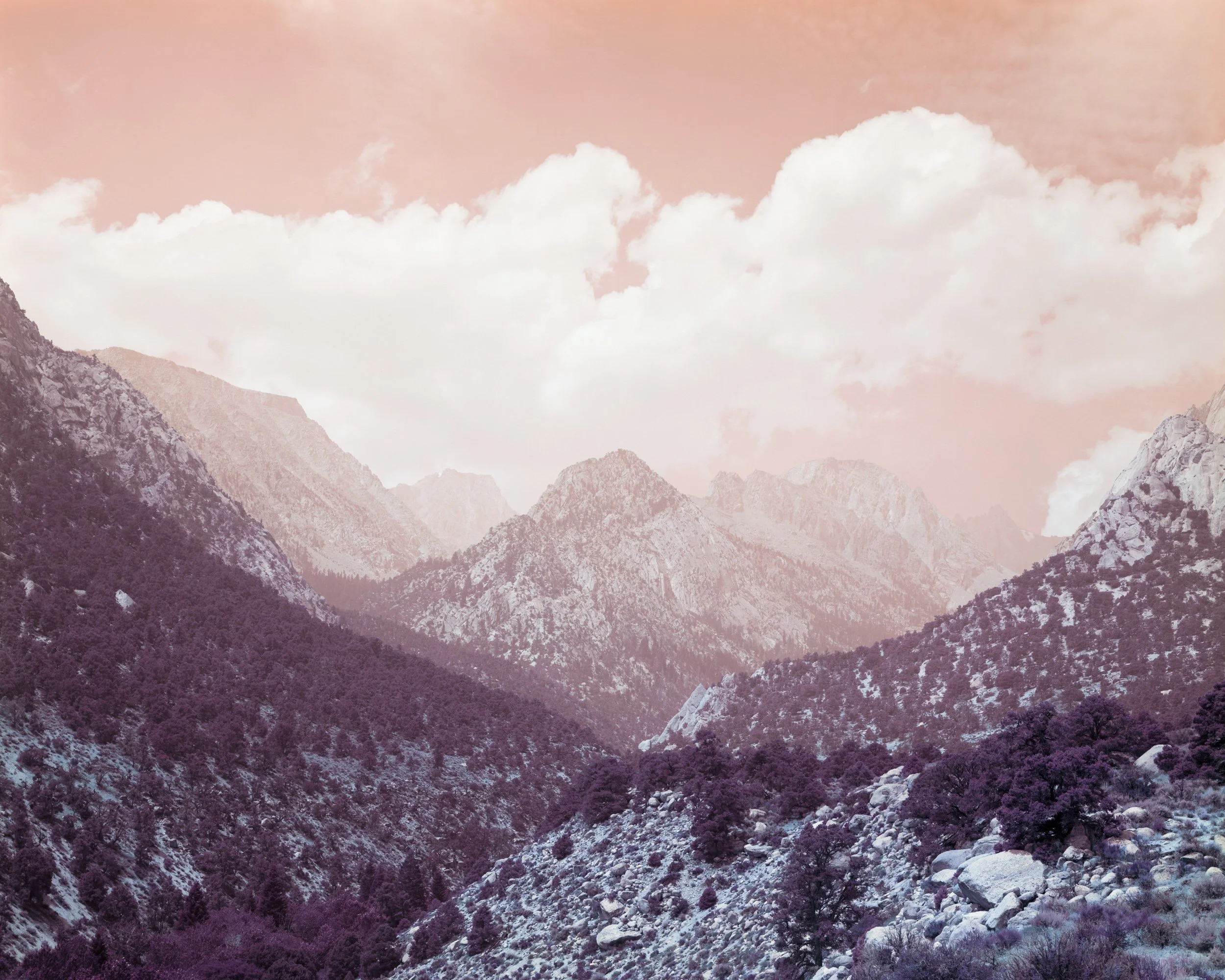 The Sierra by Aaron Rothman